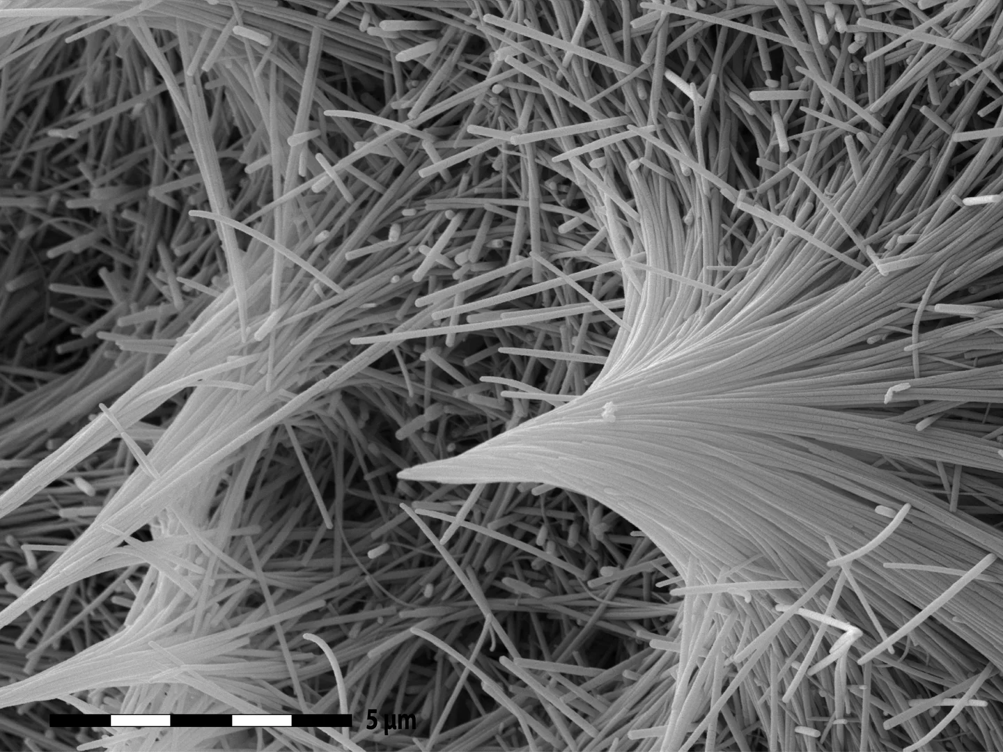 A serpentine nanotubes Mikado?