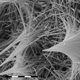 A serpentine nanotubes Mikado?