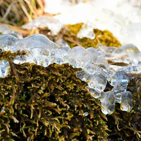 Frosty glimpse of Mother Nature