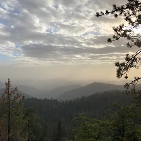 Under the foggy cover