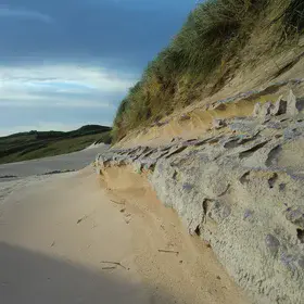 Dune at the interplay of erosion and stabilization