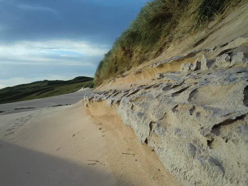 Dune at the interplay of erosion and stabilization