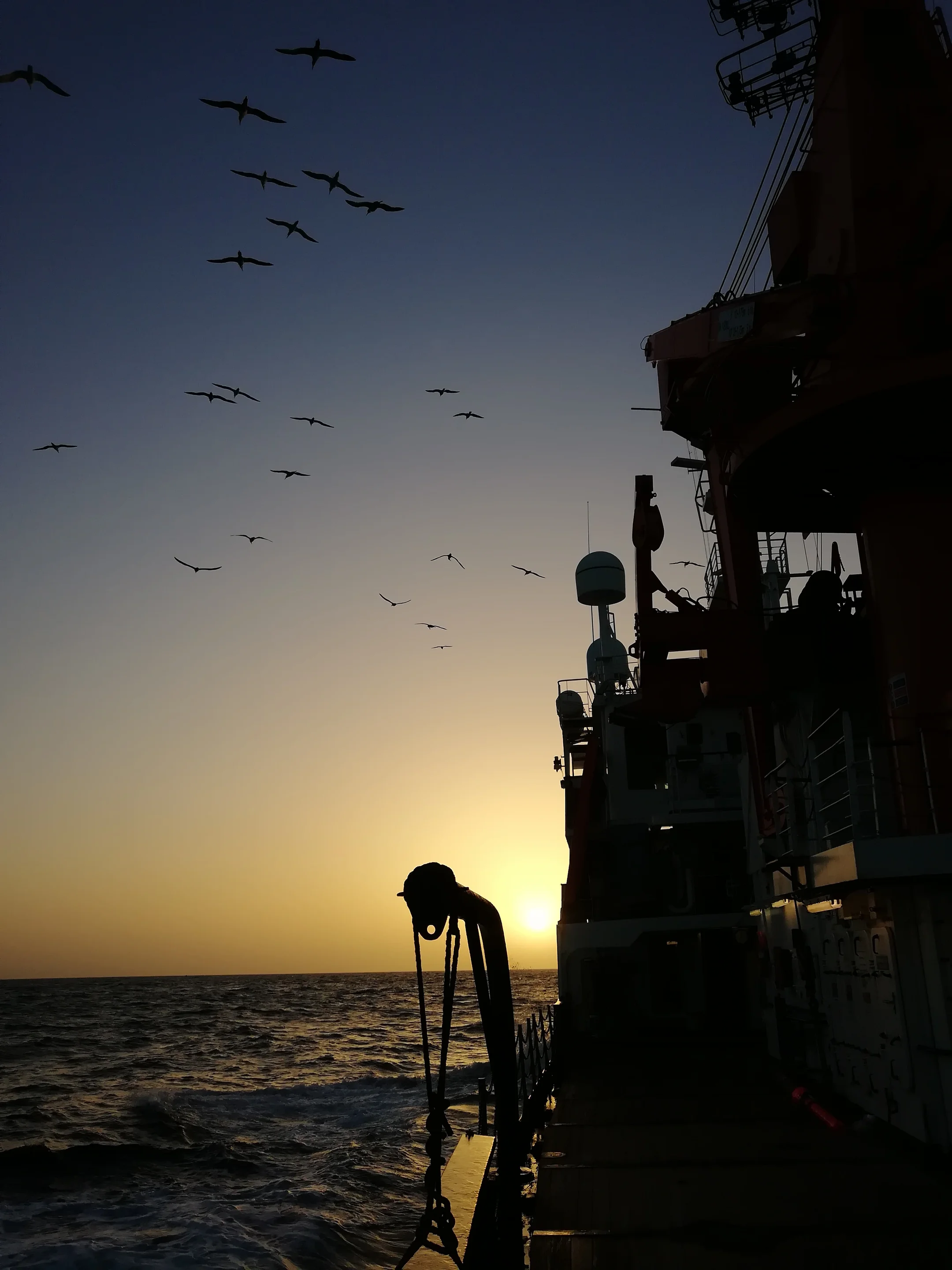 Flying into the sunrise