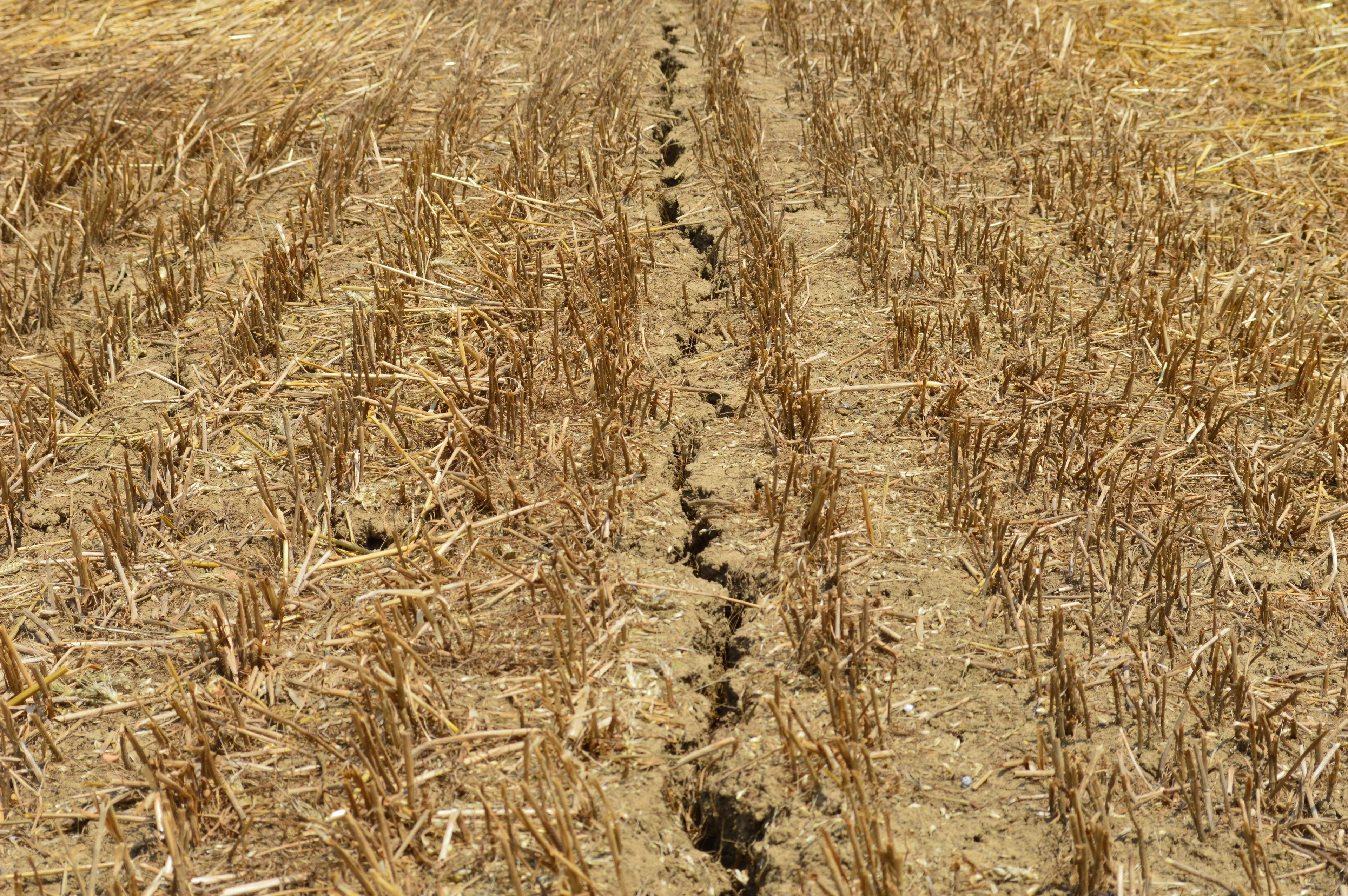Climate change and arid soil