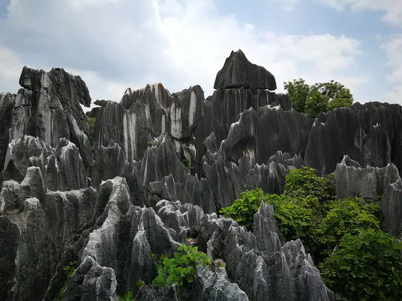 Stone forest in Yunan