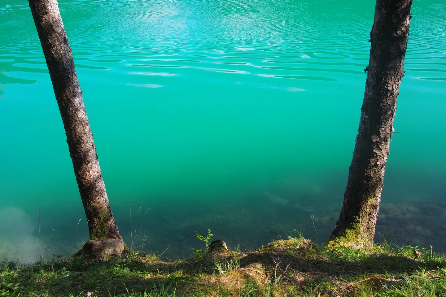 Life from water and earth