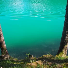 Life from water and earth