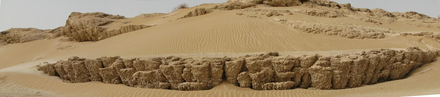 Gypsum tufa cusps in the former Layla Lake