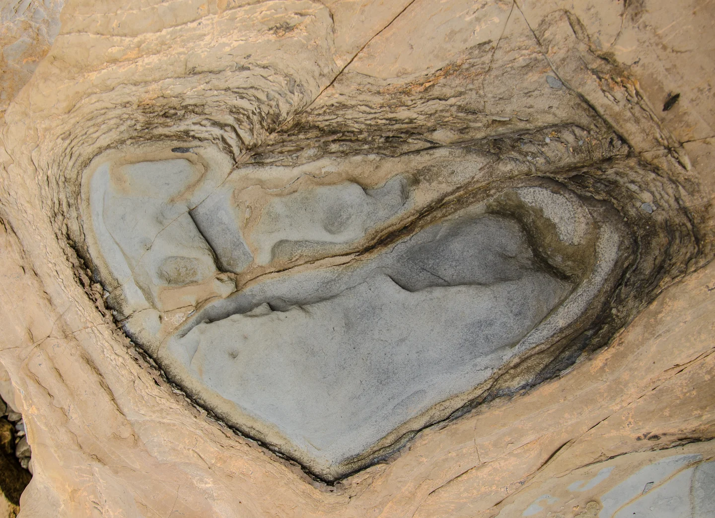 Heart texture in rock formation on the beach