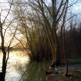 Sunset at Danube Delta