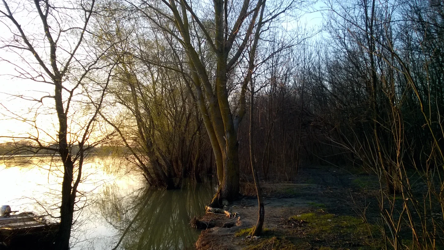 Sunset at Danube Delta