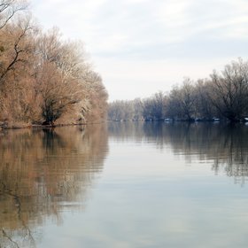 River at Danube Delta