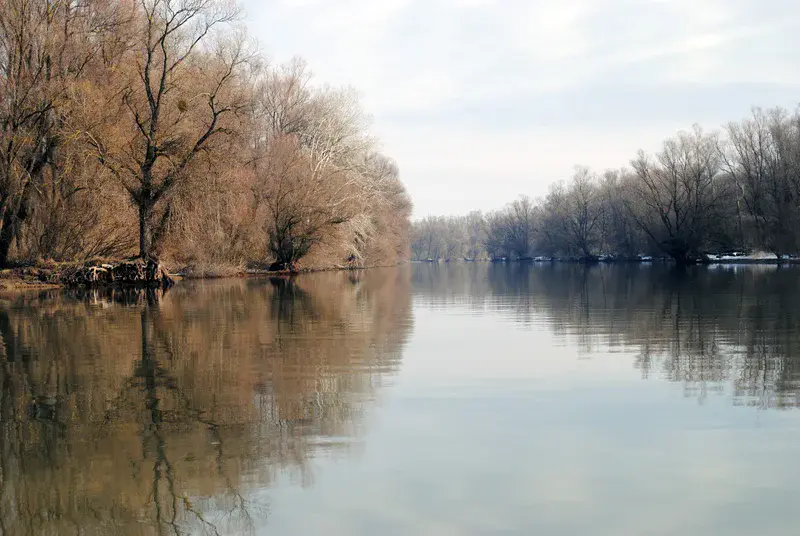 River at Danube Delta