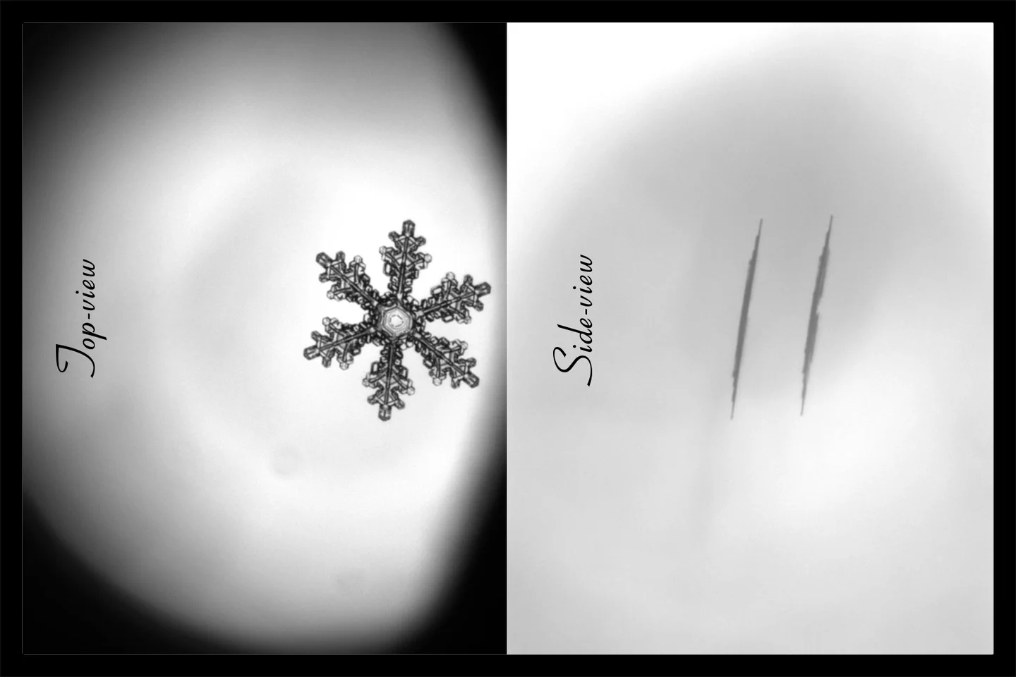 Microscopic crystallized beauty