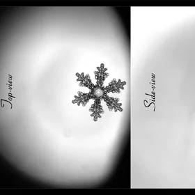 Microscopic crystallized beauty