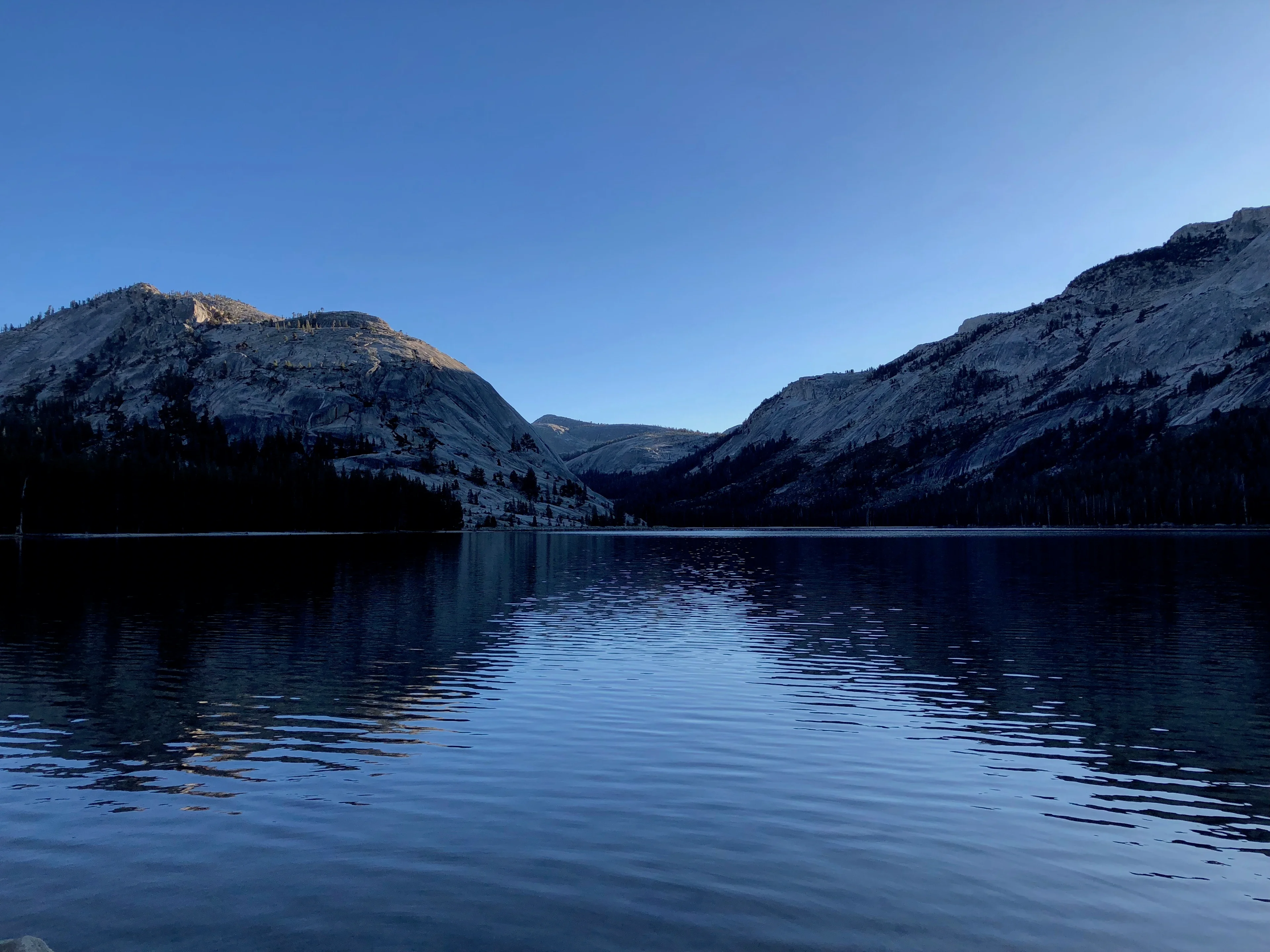 Blue morning on Tenaya lake