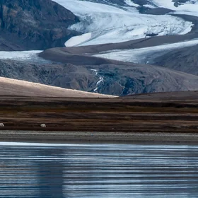 A walk at the glacier