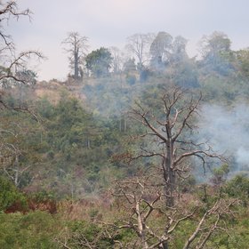 Small-scale burning in São Tomé