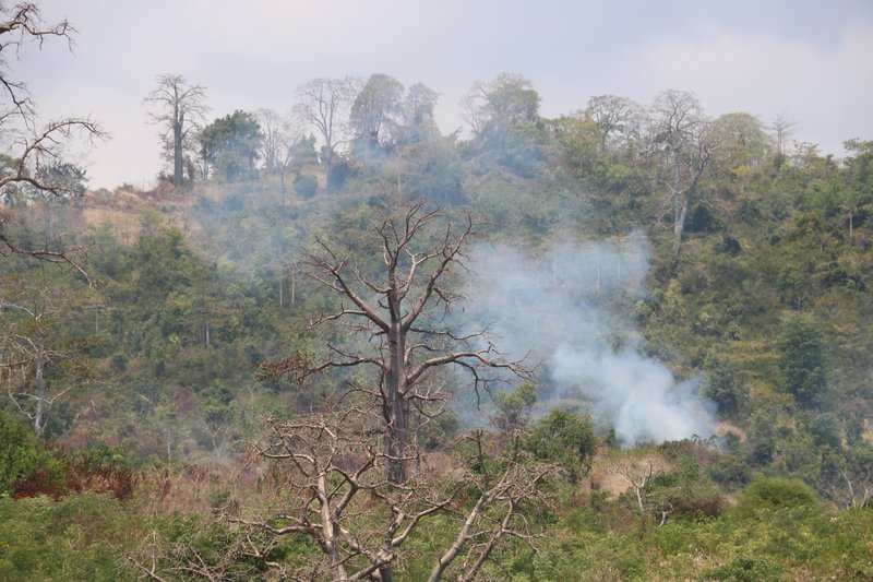 Small-scale burning in São Tomé