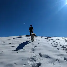 Guardians of the Himalayas