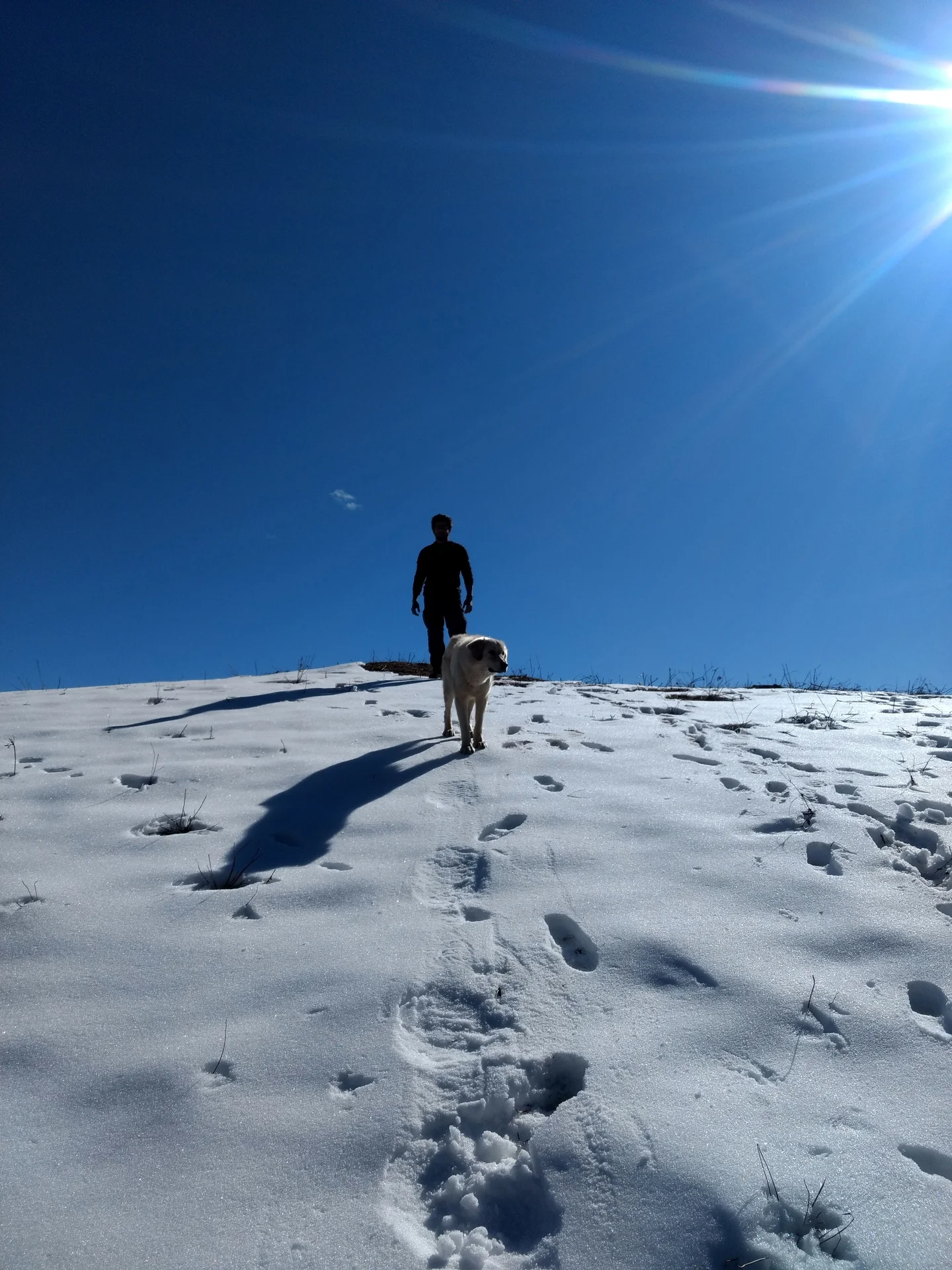 Guardians of the Himalayas
