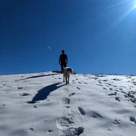 Guardians of the Himalayas