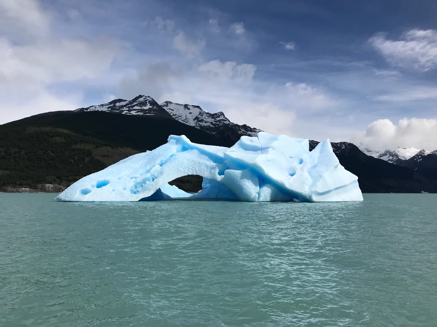 A Remnant of the Upsala Glacier