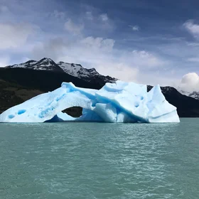 A Remnant of the Upsala Glacier