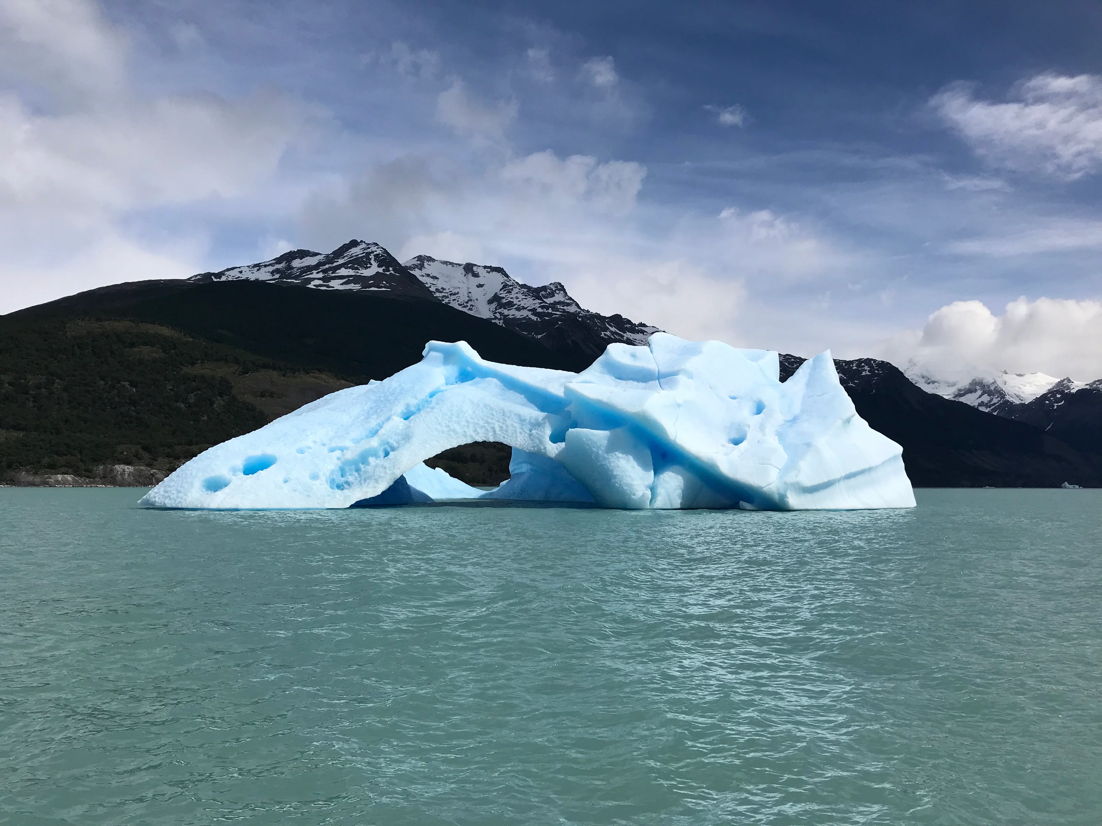 A Remnant of the Upsala Glacier