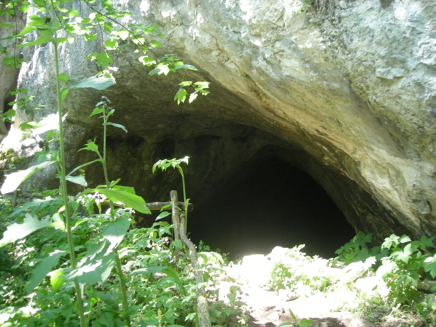 entrance to an Ice Cave