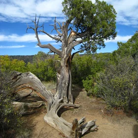 Black Canyon of the Gunnison National Park