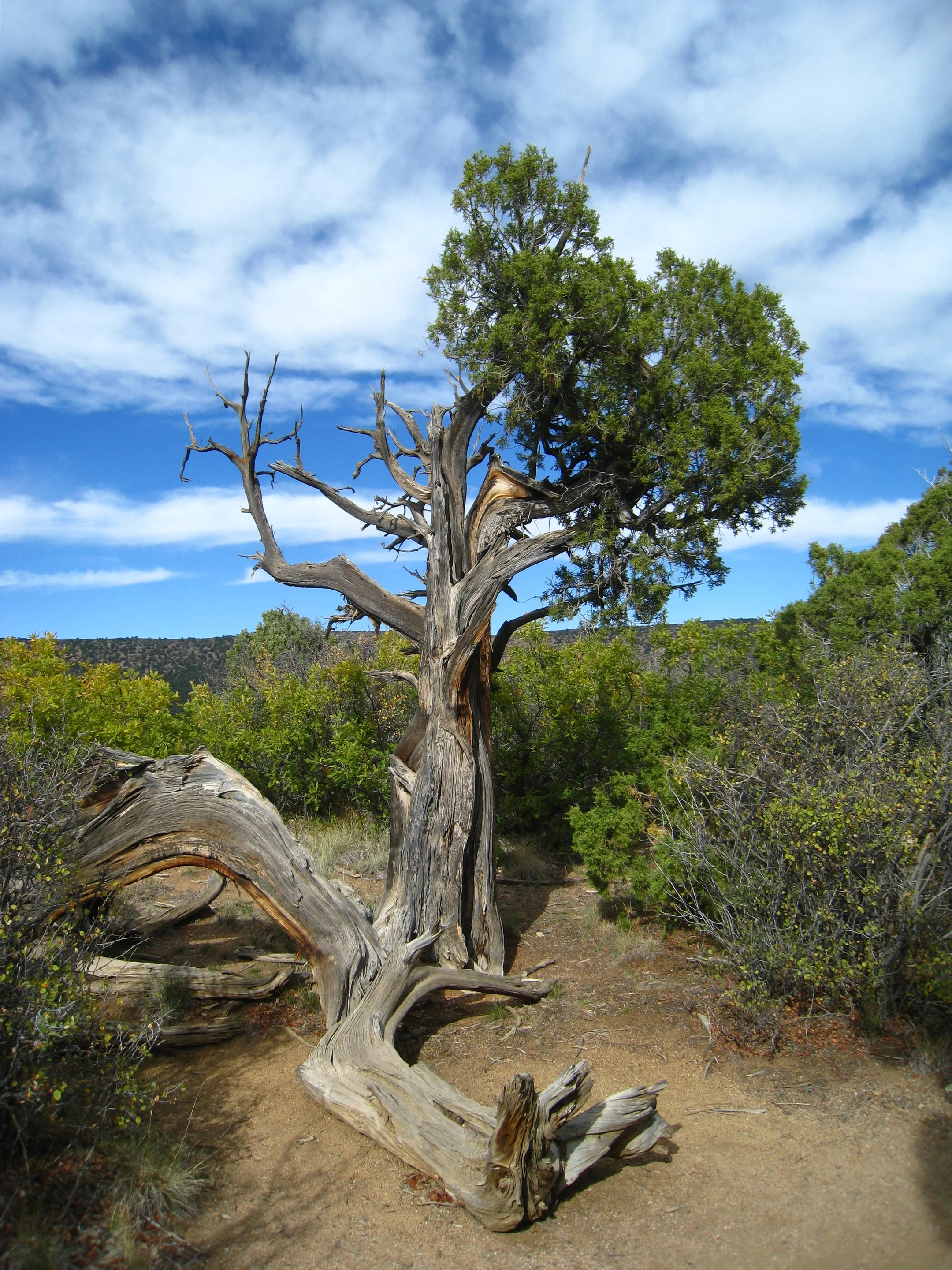 Black Canyon of the Gunnison National Park