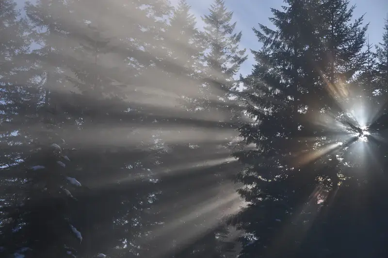 Winter sun in the Cascades