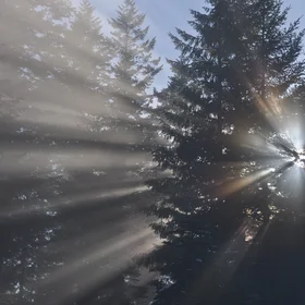 Winter sun in the Cascades