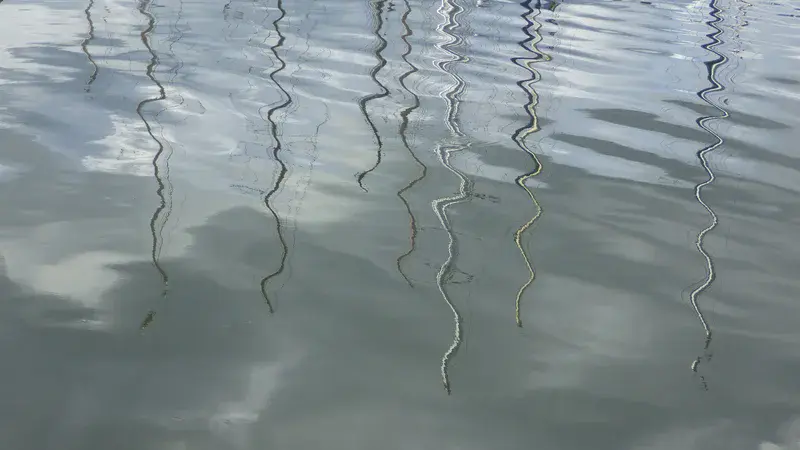 Wavy water and mirrored lines