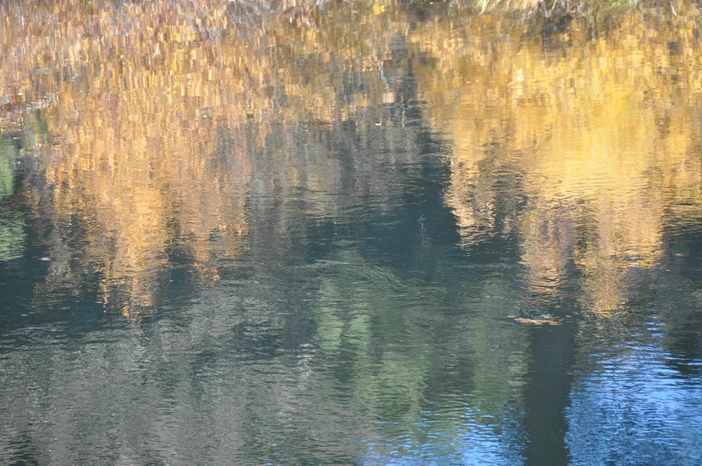 Rippled fall mirror in Oregon