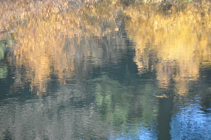 Rippled fall mirror in Oregon