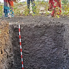 Black cotton soil in rural India