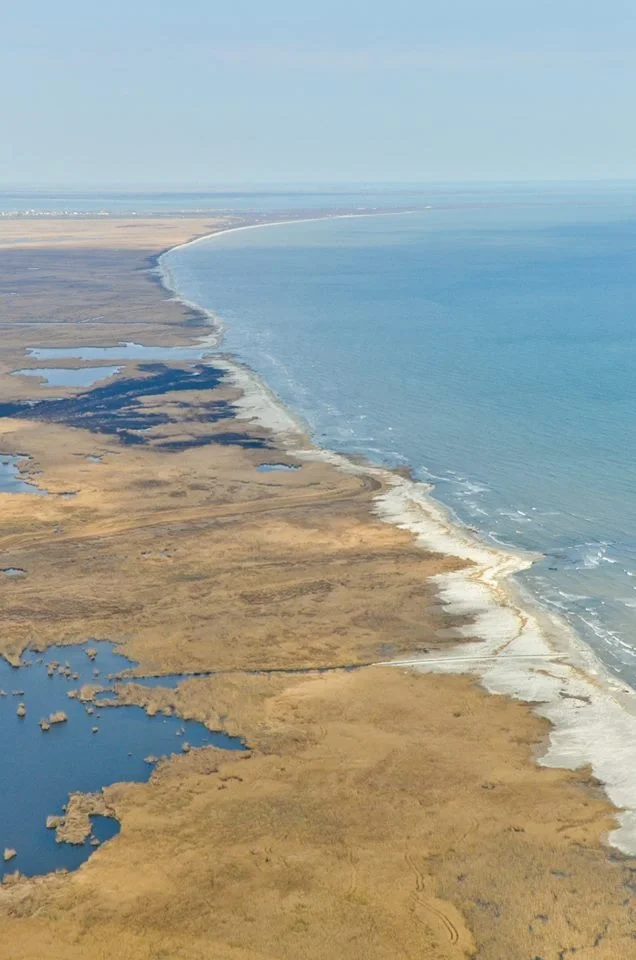 Beautiful images from Danube Delta