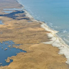 Beautiful images from Danube Delta