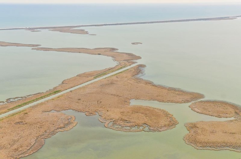 Beautiful image from Danube Delta