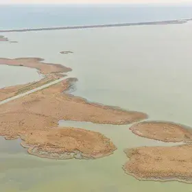 Beautiful image from Danube Delta