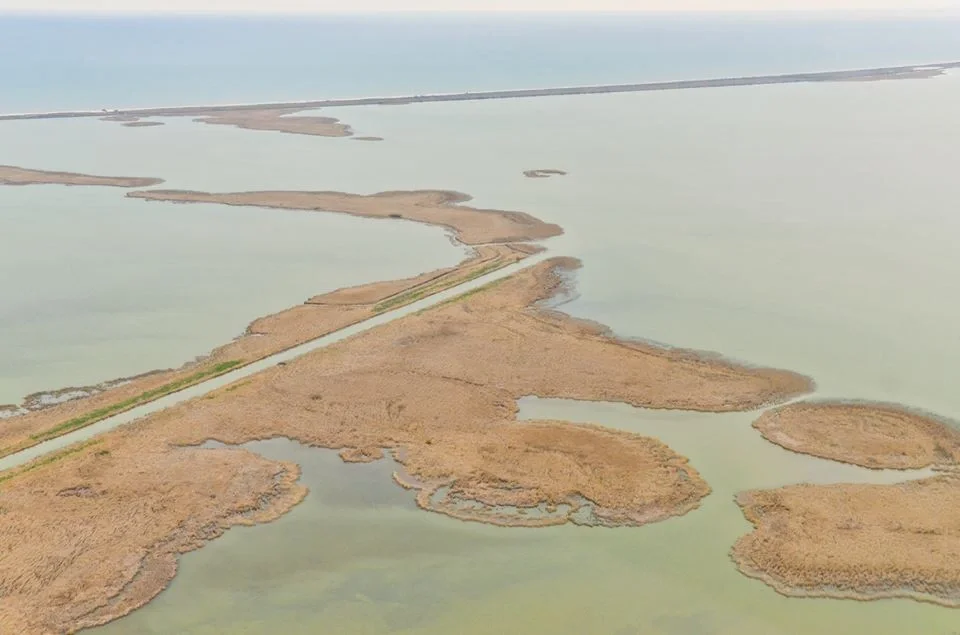 Beautiful image from Danube Delta