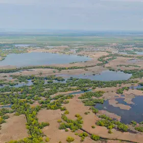 Beautiful image from Danube Delta