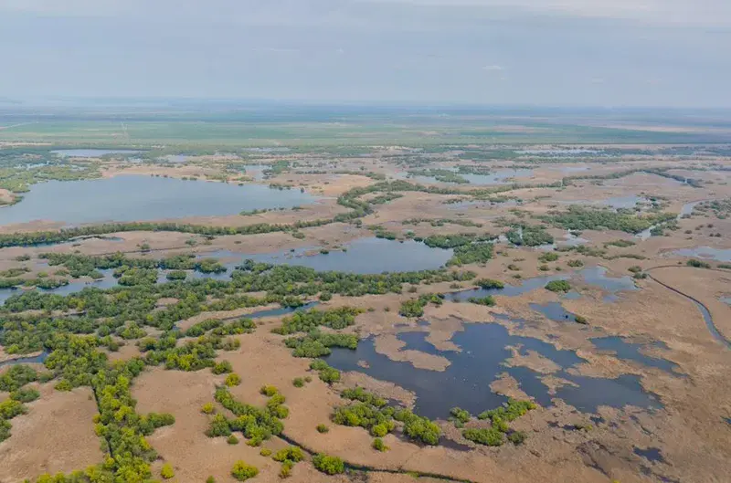 Beautiful image from Danube Delta