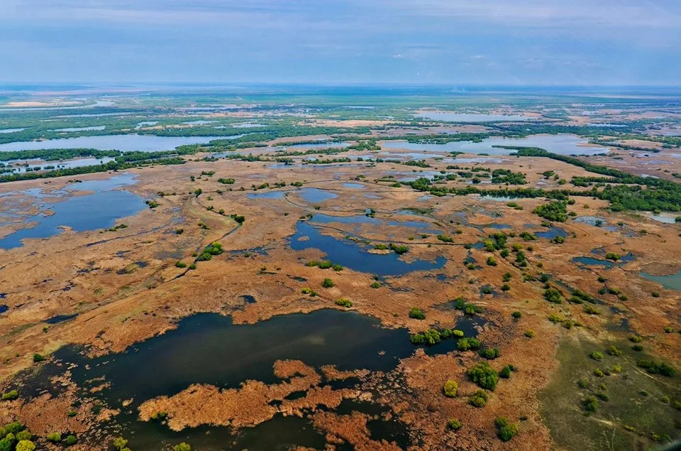 Beautiful image from Danube Delta