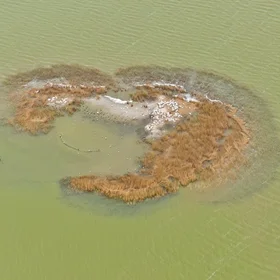 Beautiful image from Danube Delta