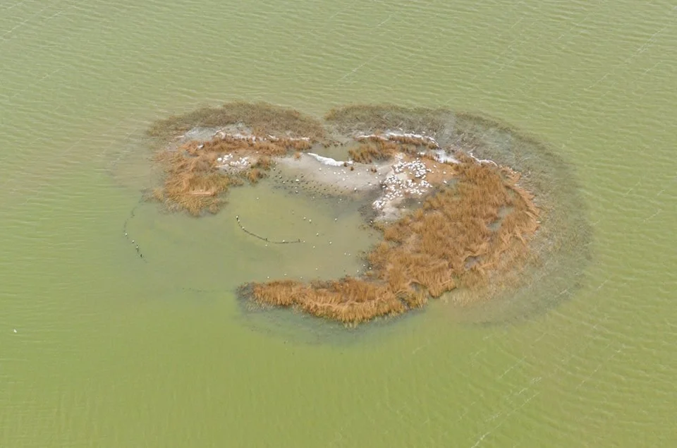 Beautiful image from Danube Delta