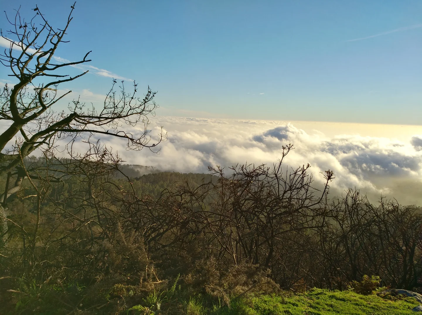 Cloud connected in Madeira