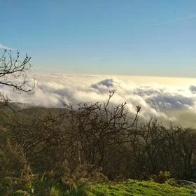Cloud connected in Madeira